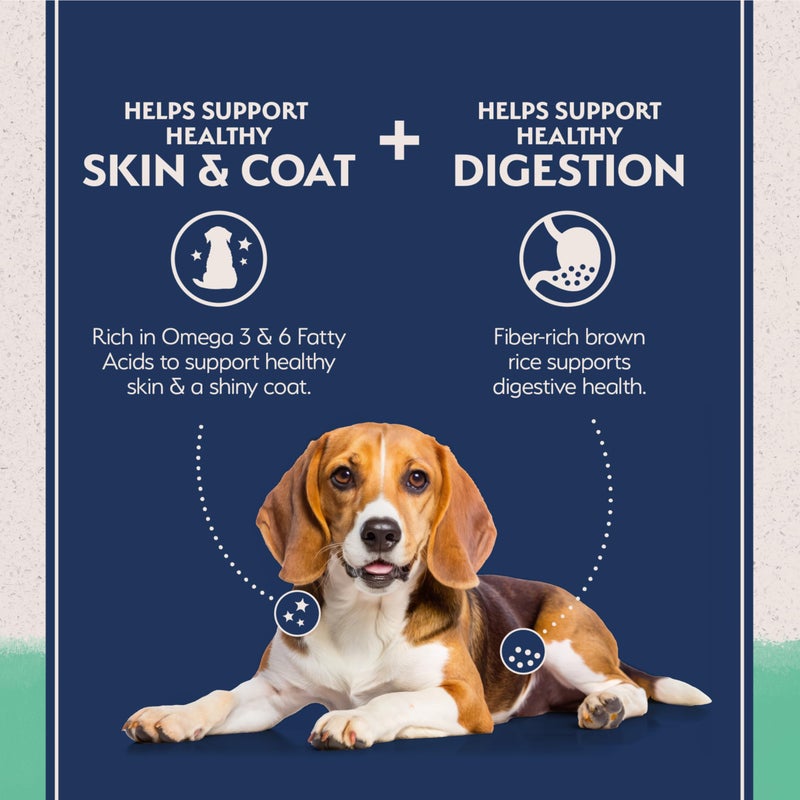 Natural Balance Limited Ingredient Adult Grain-Free Dry Dog Food, Chicken & Sweet Potato Recipe, 4 Pound (Pack of 1) - Image 2